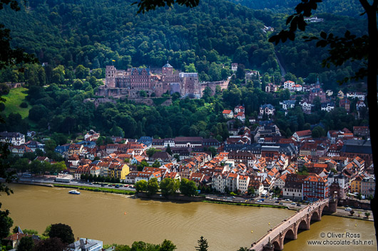 Panoramic view of Heidelberg with its castle and the Neckar River from the philosopher´s path