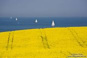 Travel photography:Sailing in the Baltic off Bülk coast, Germany