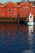 Travel photography:Laboe boat houses, Germany