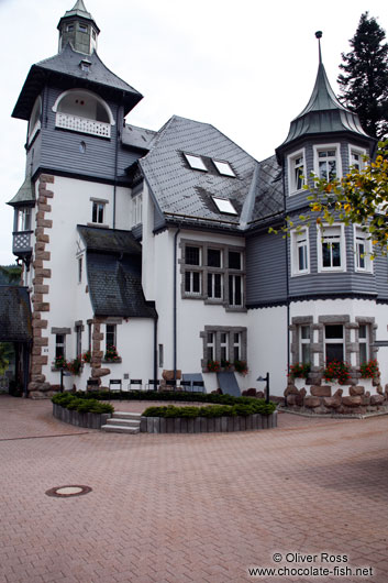 House near Titisee
