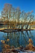 Travel photography:Island with trees in the river Rhine near Kehl, Germany