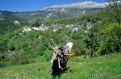Travel photography:Old woman with firewood in Papigko, Greece