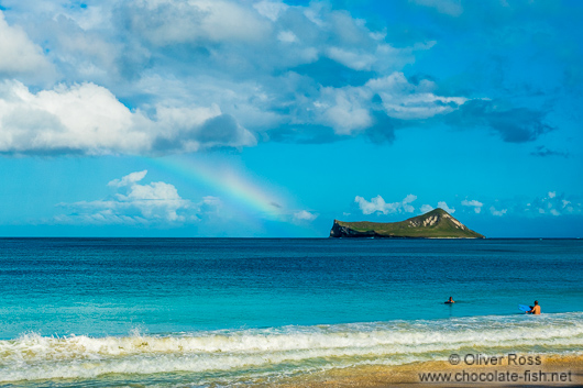 Hawaii beach with rainbow