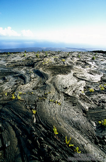 Cooled lava flow in Volcano Ntl Park