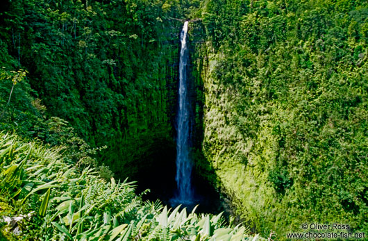 Tall waterfall on Hawaii Island
