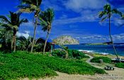 Travel photography:Makapuu Beach County Park on Oahu, Hawaii USA