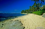 Travel photography:Beach near Honolulu, Hawaii USA