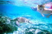 Travel photography:Sea turtle under water, Hawaii USA