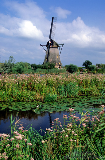Windmill at the Kinderdijk