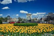 Travel photography:The Chain Bridge in Budapest with flower bed, Hungary