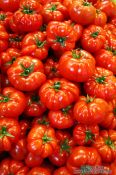 Travel photography:Budapest market tomatoes , Hungary