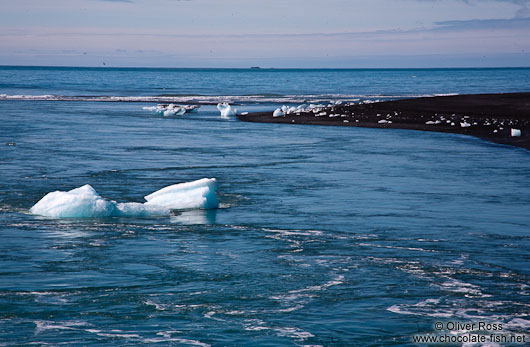 Icebergs floating to sea through the outlet of the Jökulsárlón