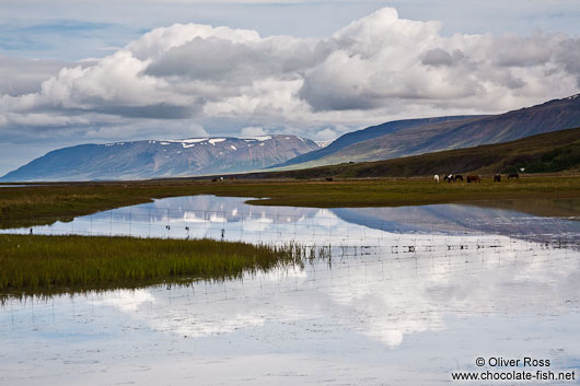 Sauðárkrókur landscape in the Skagafjörður fjord