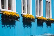 Travel photography:Blue facade in Reykjavik, Iceland