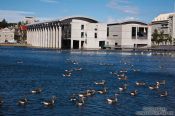 Travel photography:Reykjavik city hall with a flock of geese on the city lake, Iceland