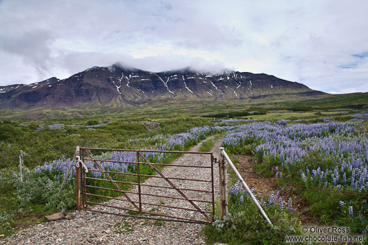 Breiðdalsvík landscape
