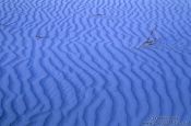 Travel photography:Ripples in the Sand near Diskit, India