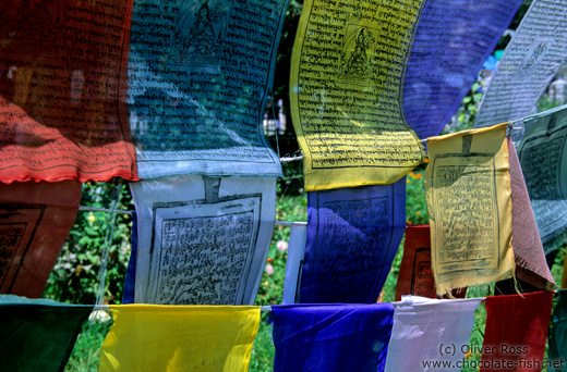 Buddhist prayer flags outside the Dadhan Thekchokling Gompa in Manali