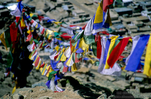 Prayer flags over Leh