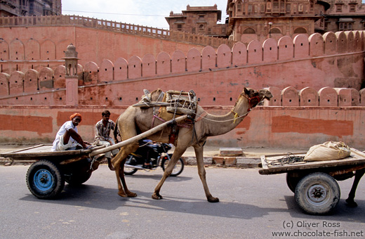 Camel cart outside Junagarh Fort in Bikaner
