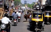 Travel photography:Bikaner street scene, India