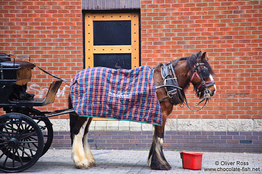 Horse cart in Dublin 