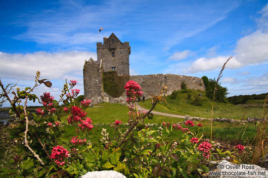 Dunguaire Castle in Clare