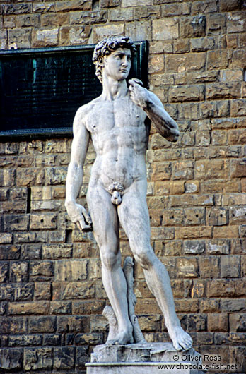 Michelangelo`s David in Florence