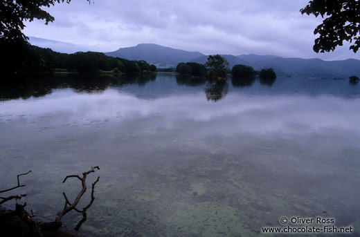 Lake Onuma in Onuma Quasi Ntl Park on Hokkaido