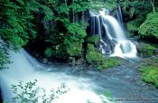 Travel photography:Waterfalls in Hakone Ntl Park, Japan