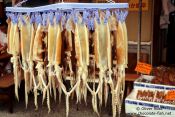 Travel photography:Drying squid in Hakodate, Japan