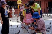 Travel photography:Feeding pigeons, Japan