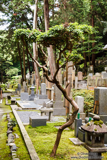 Cemetery at Kyoto`s Honenin Temple