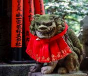 Travel photography:Stone dog sculpture at Kyoto`s Inari shrine, Japan