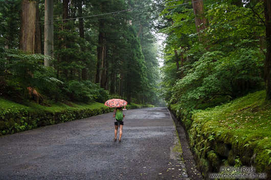 Path at the Nikko Unesco World Heritage site