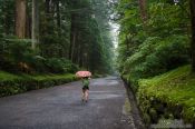 Travel photography:Path at the Nikko Unesco World Heritage site, Japan