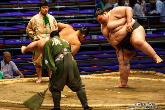 Makushita ranked wrestlers perform the leg-stomping (shiko) exercise to drive evil spirits from the ring (dohyoin) at the Nagoya Sumo Tournament