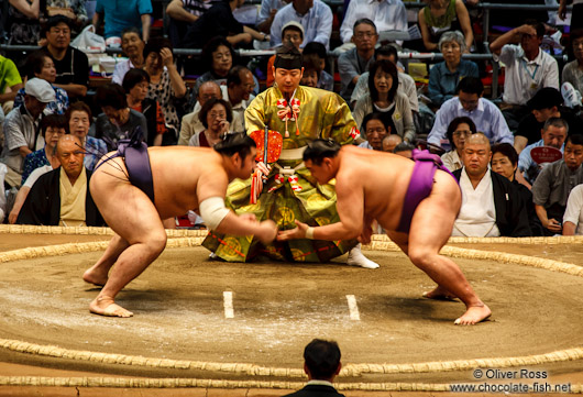 A bout begins at the Nagoya Sumo Tournament