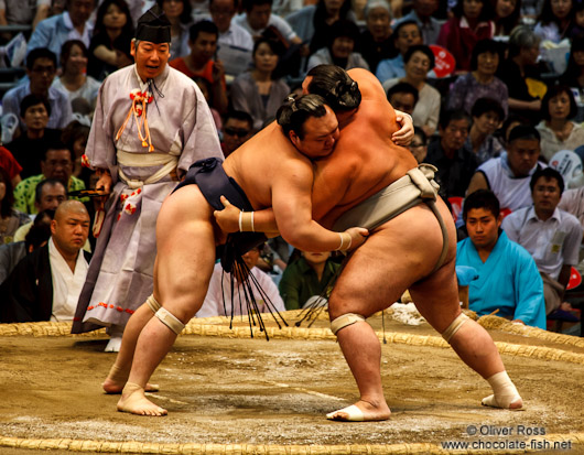 Holding on firmly to each others belts at the Nagoya Sumo Tournament