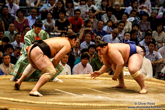 A bout begins at the Nagoya Sumo Tournament