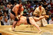Travel photography:Bringing your opponent to the ground at the Nagoya Sumo Tournament, Japan