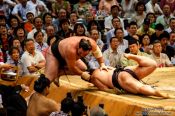 Travel photography:End of a bout at the Nagoya Sumo Tournament, Japan