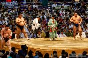 Travel photography:Throwing of salt in preparation for a bout at the Nagoya Sumo Tournament, Japan