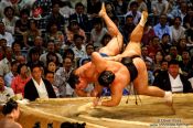 Travel photography:Close call at the Nagoya Sumo Tournament, Japan