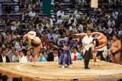 Travel photography:Makuuchi ranked wrestlers perform the leg-stomping (shiko) exercise to drive evil spirits from the ring (dohyoin) at the Nagoya Sumo Tournament, Japan