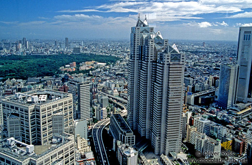 View of Tokyo from the Metropolitan Government Building in Shinjuku