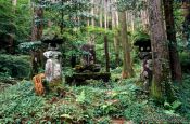 Travel photography:Forest shrine in the Japanese Alps, Japan