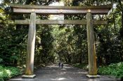Travel photography:Gate to Tokyo´s Meiji shrine, Japan