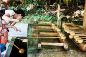 Travel photography:People perfom the ritual cleansing at Tokyo´s Meiji shrine, Japan