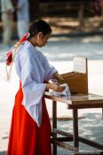 Travel photography:Girl at Tokyo´s Meiji shrine, Japan